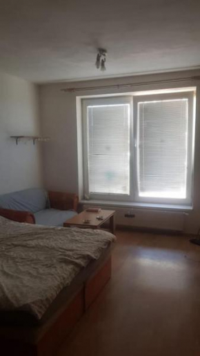 sunny apartment close to town